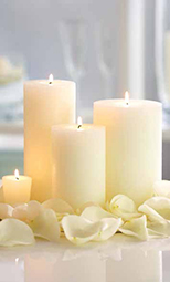 fellowship of professional celebrants